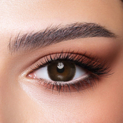 Bella One Day- Cedar