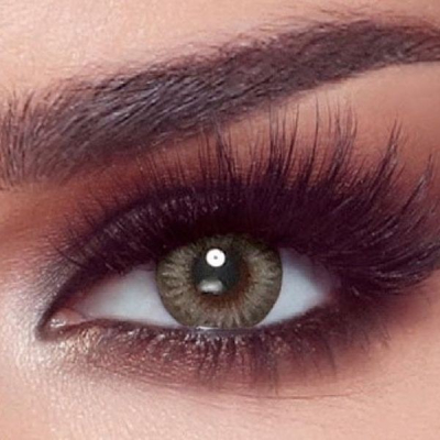 Bella One Day- Platinum Grey -10 Lenses - New