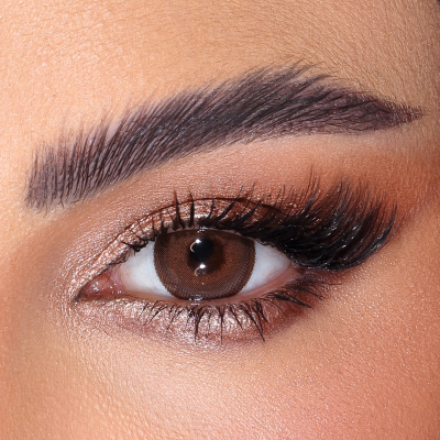 Amara Lenses Ginger Bread - 2 Lenses