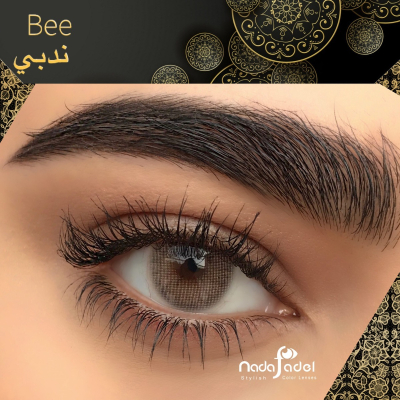 Nada Fadel Nada Bee- 2 Lenses