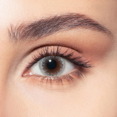 Bella One Day Silent Gray - 10 Lenses